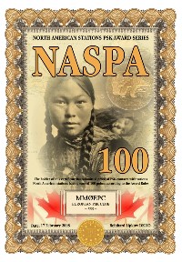 NASPA-100.jpg